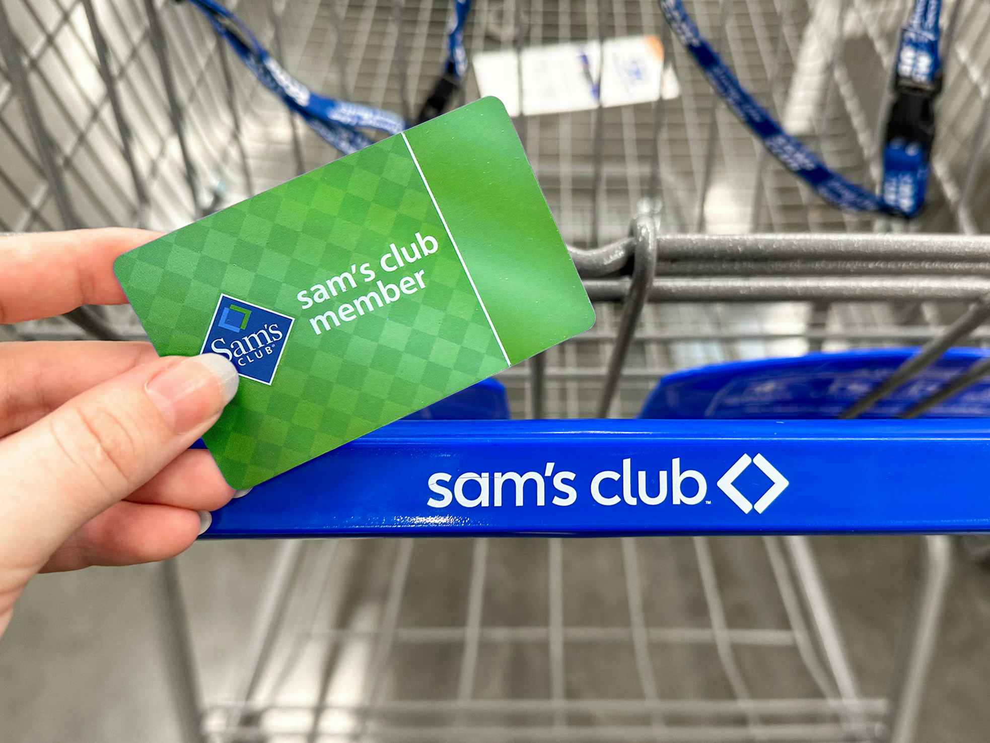 Someone holding a Sam's Club basic membership card next to a Sam's Club cart