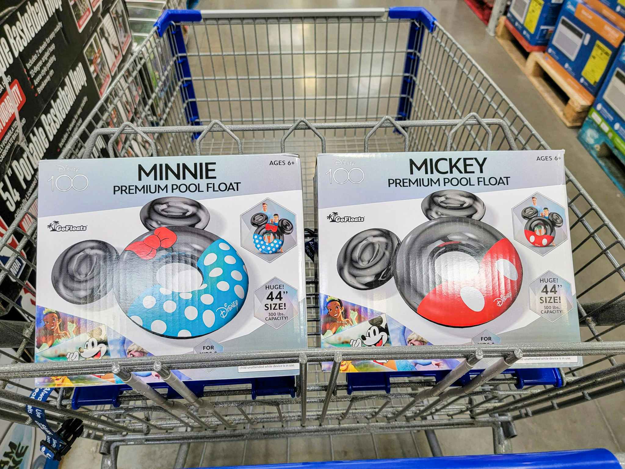 mickey & minnie mouse pool floats
