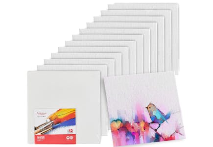 Canvas 12-Pack