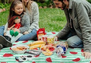 walmart sedona house picnic blankets 2023 01 1681006853 1681006853