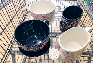 aldi belavi teacup or watering can planter 1683123956 1683123956