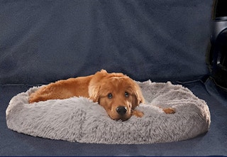 amazon active pet bed 2023 2 1683393374 1683393374