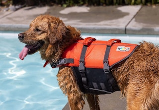 amazon outward hound jacket 2 1683027804 1683027804