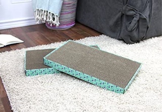 amazon pet cat posts 2023 2 1683057948 1683057948