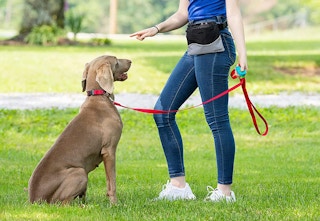 amazon pet clicker 2023 2 1683055081 1683055081