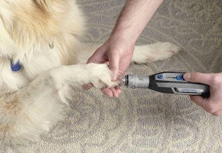 amazon pet trimmer 2023 2 1683053399 1683053399