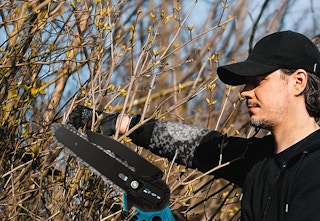 amazon pruning saw 2023 2 1685549965 1685549966