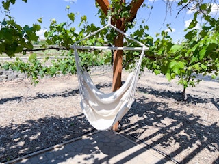 amazon y stop swinging hammock chair 02 1685470438 1685470438 scaled