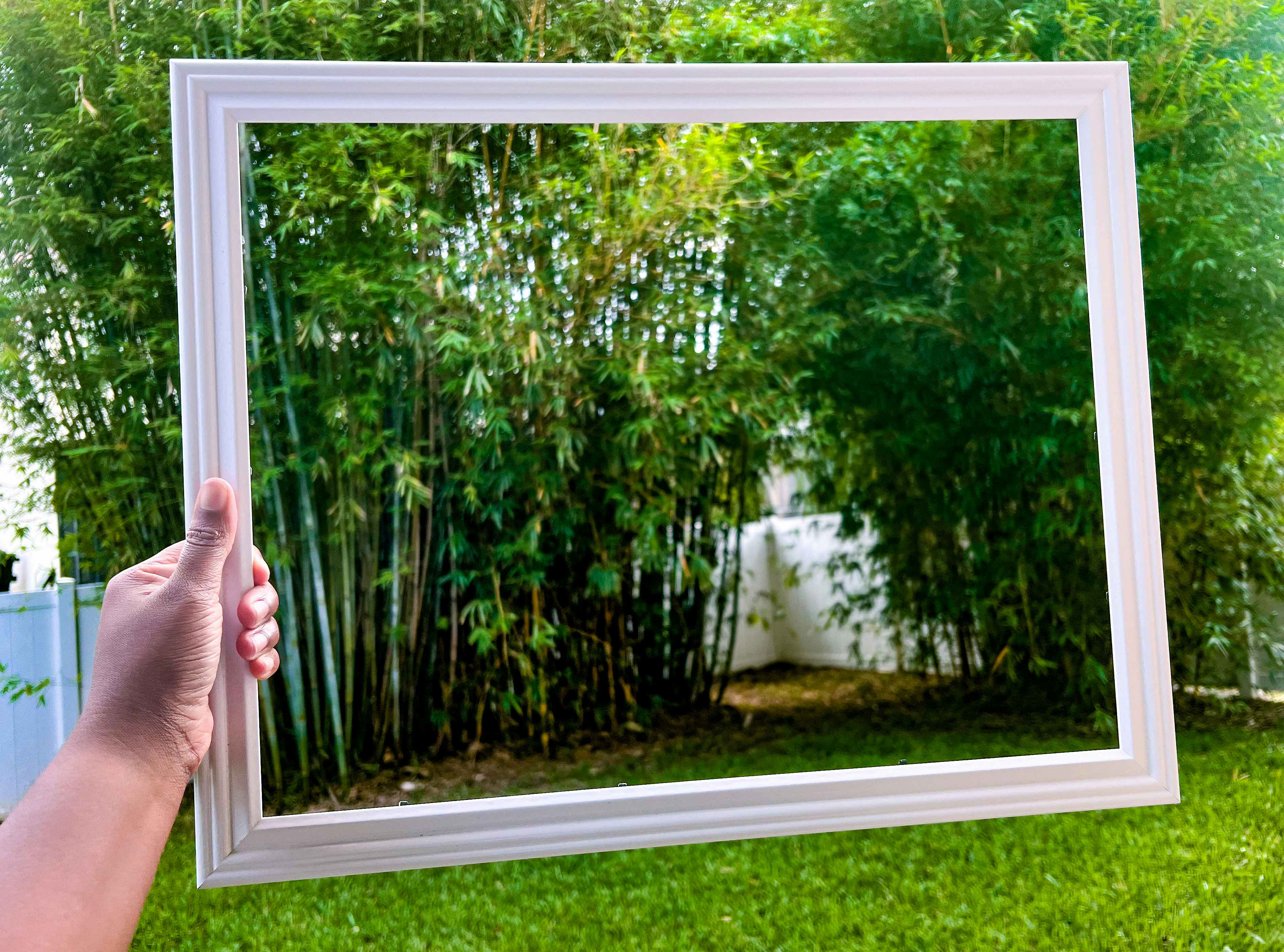 hand holding a white picture frames in front of a green bamboo trees