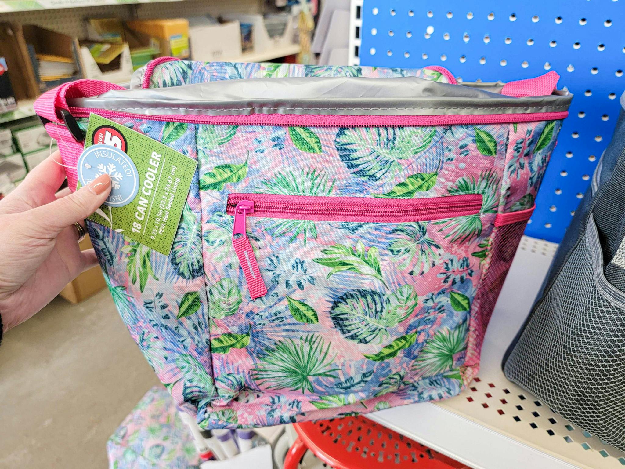 18Can Insulated Coolers, Only 5 at Dollar Tree The Krazy Coupon Lady