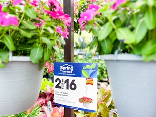 hanging flower baskets lowes 8 1683566684 1683566684 scaled