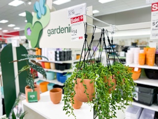 hilton carter planters plants target1 1684249425 1684249425 scaled