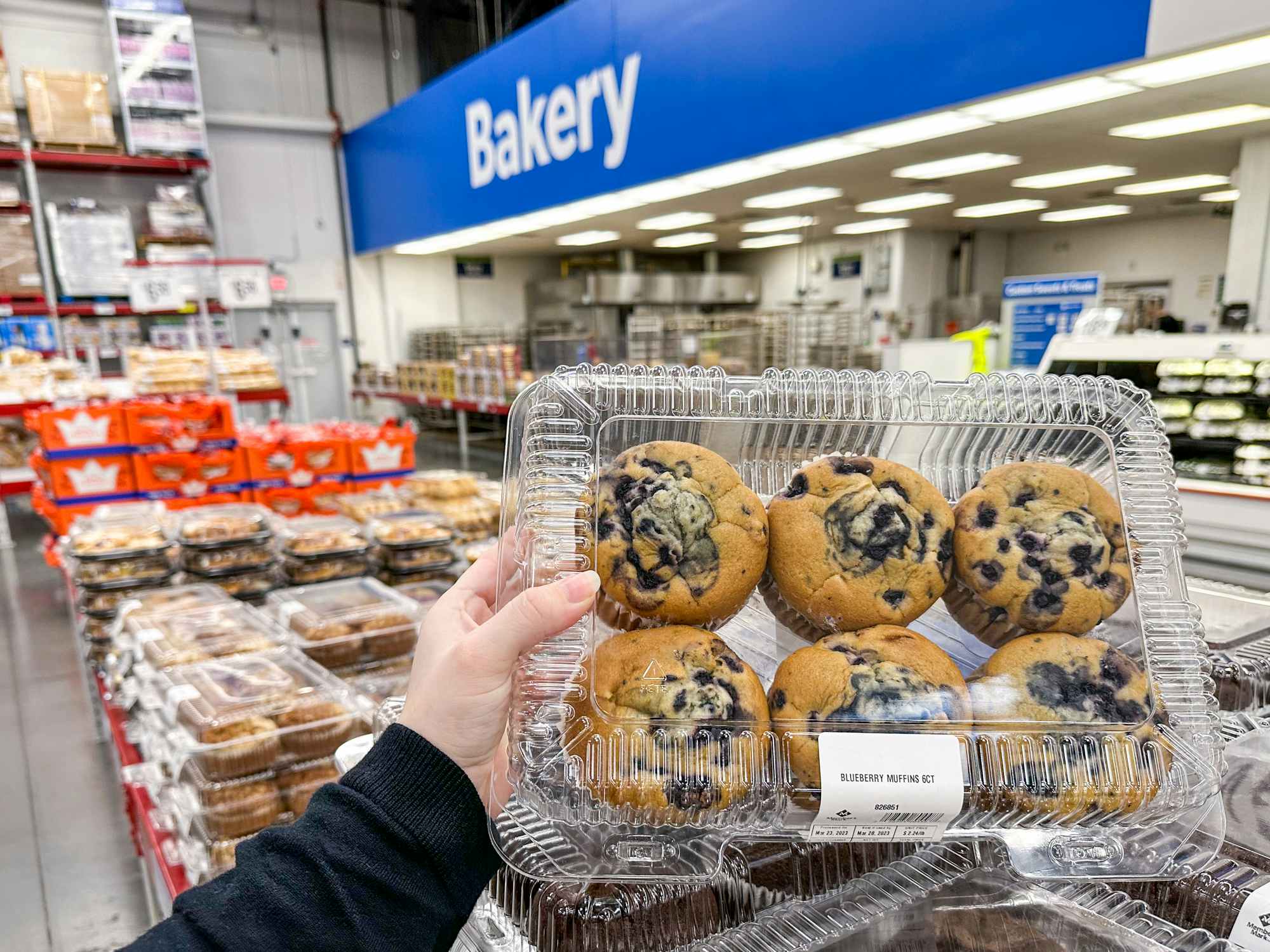 Someone holding up a case of blueberry muffins at the Sam's Club bakery