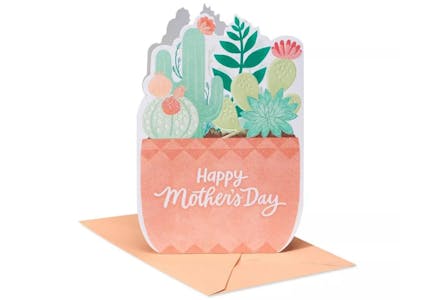 Potted Succulents Mother's Day Card