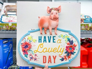 The Pioneer Woman 23.3" Have A Lovely Day Metal Outdoor Garden Stake at Walmart