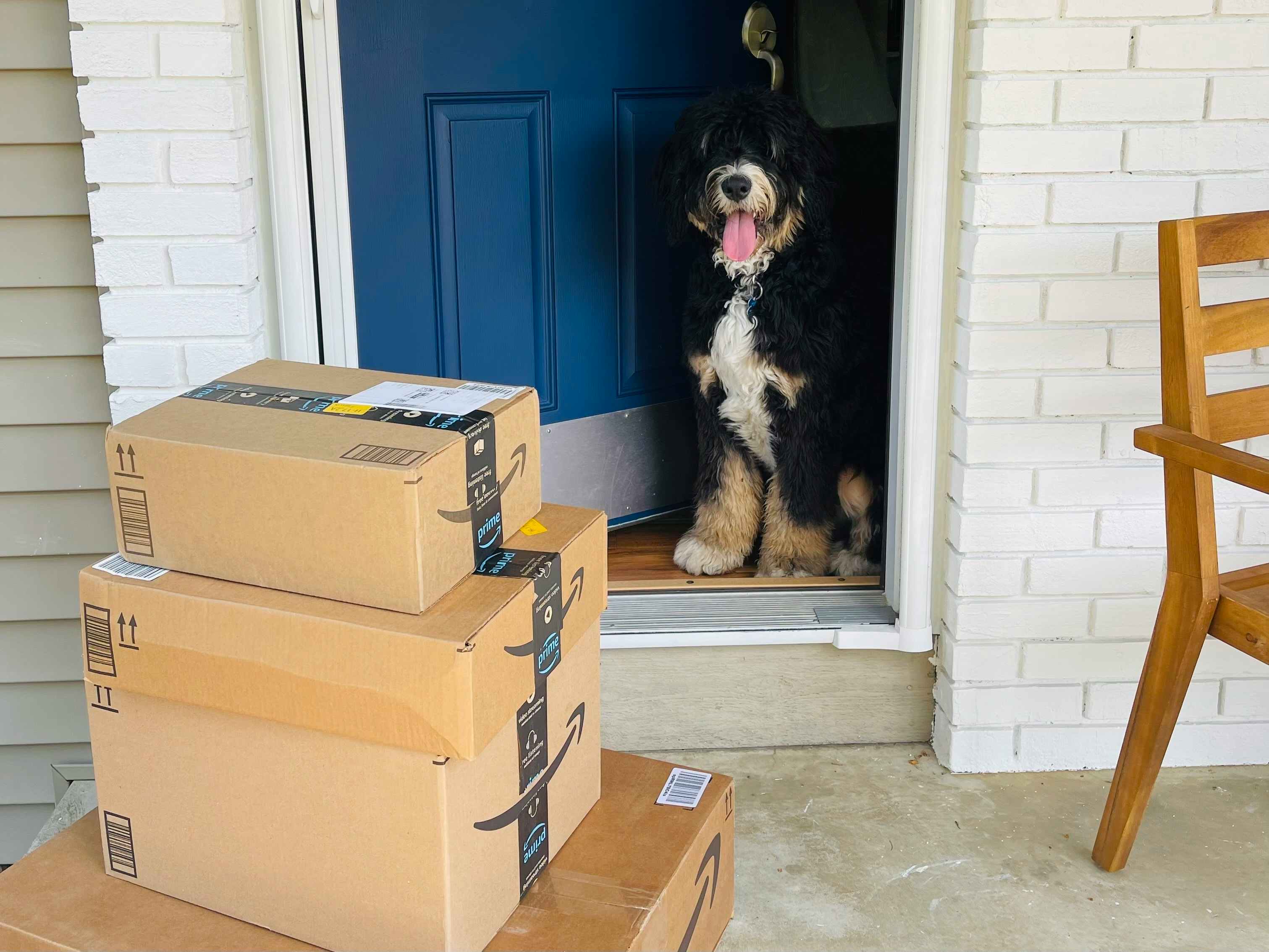 a dog in open doorway next to amazon boxes on door step
