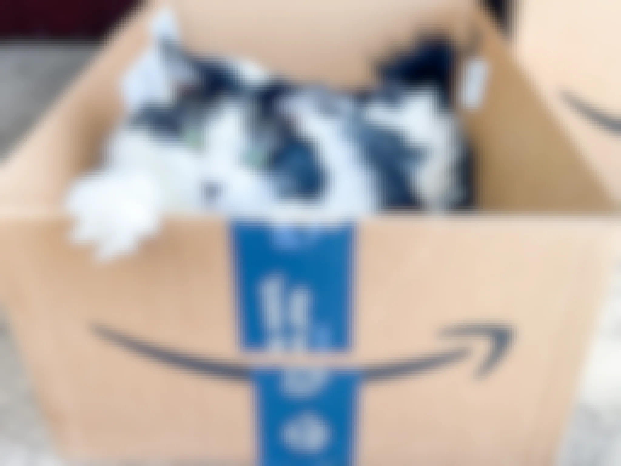 A cat sitting in an Amazon Prime cardboard box.