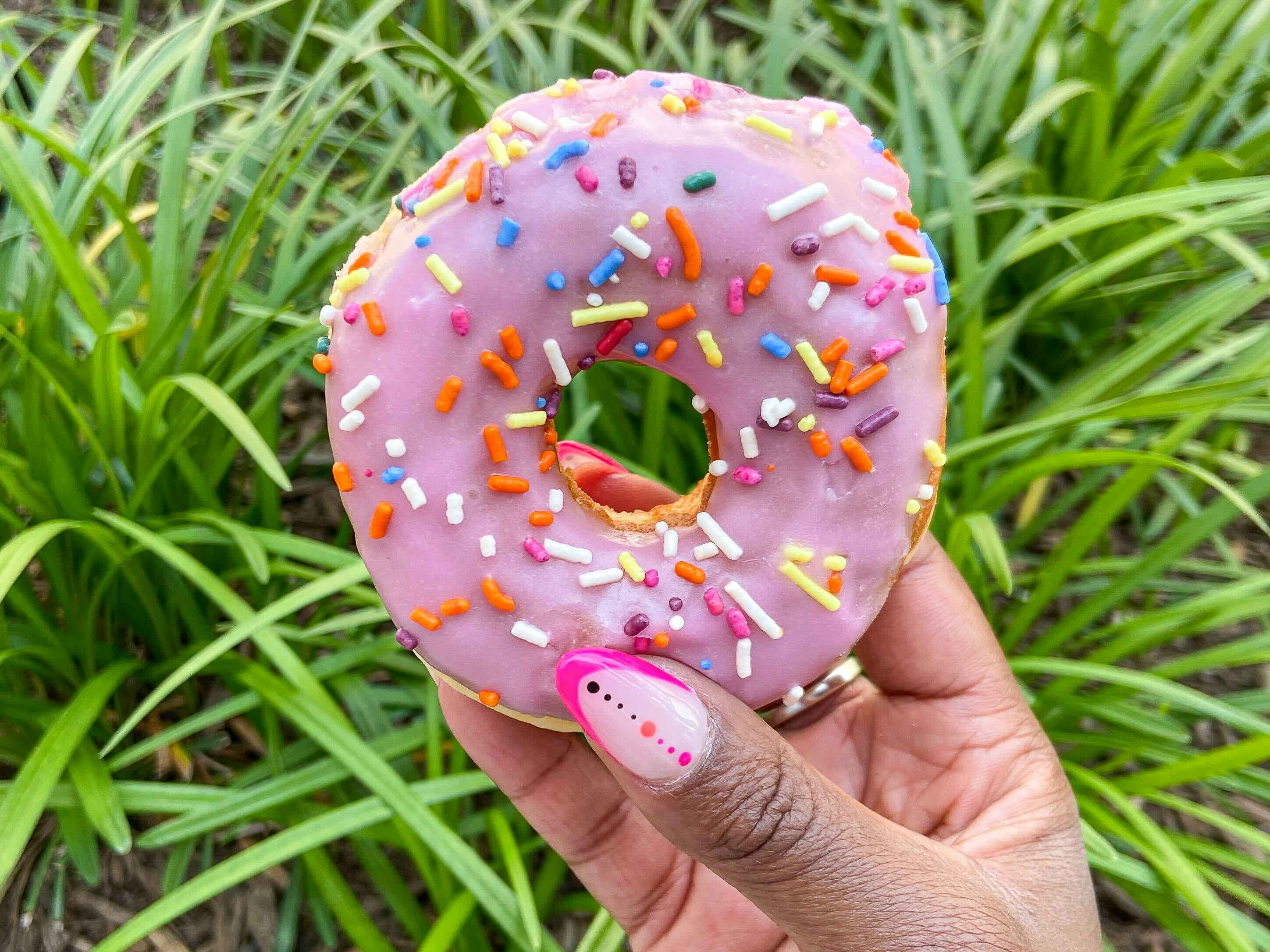 A donut held out by hand in front of grass.