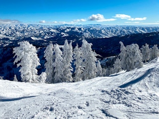 Snow covered trees and mountains