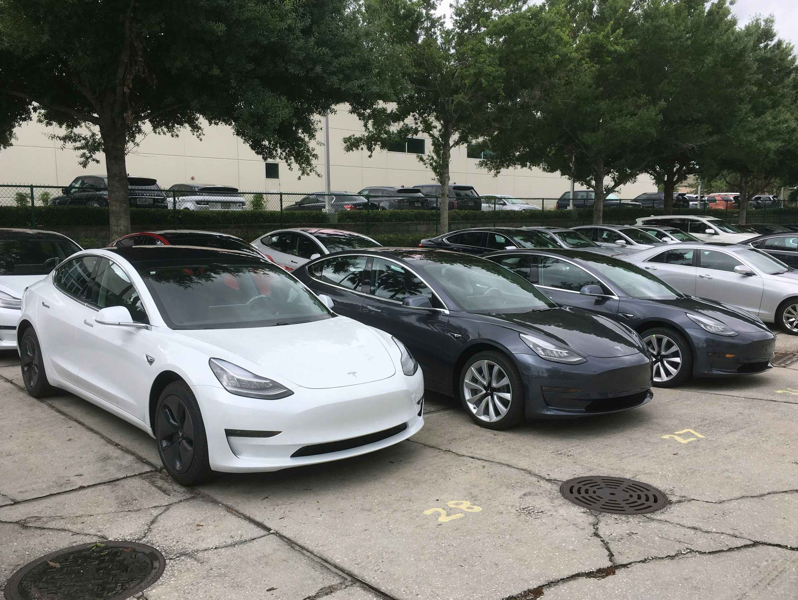 A parking lot full of Tesla model 3 electric vehicles
