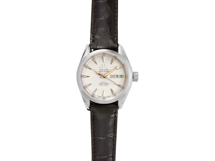 a omega aqua terra watch