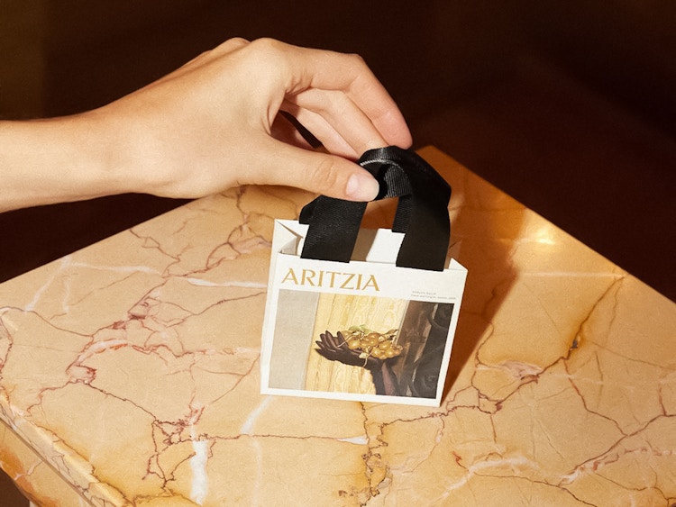 Someone holding a small Aritzia shopping bag