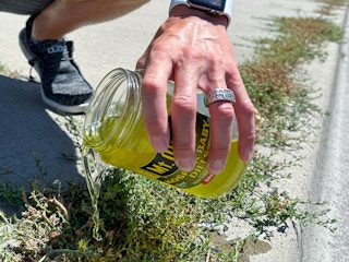 a person pouring pickle juice on weeds