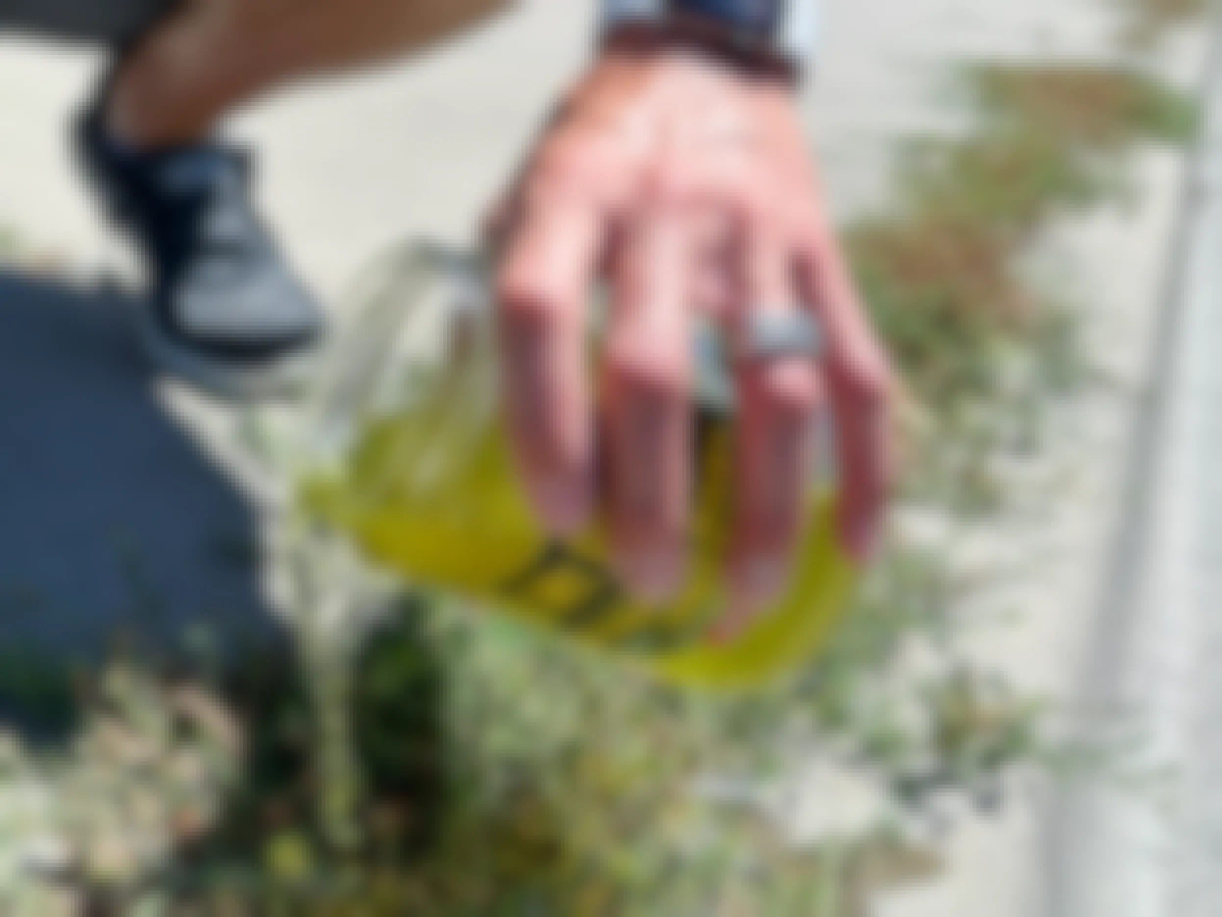 a person pouring pickle juice on weeds 