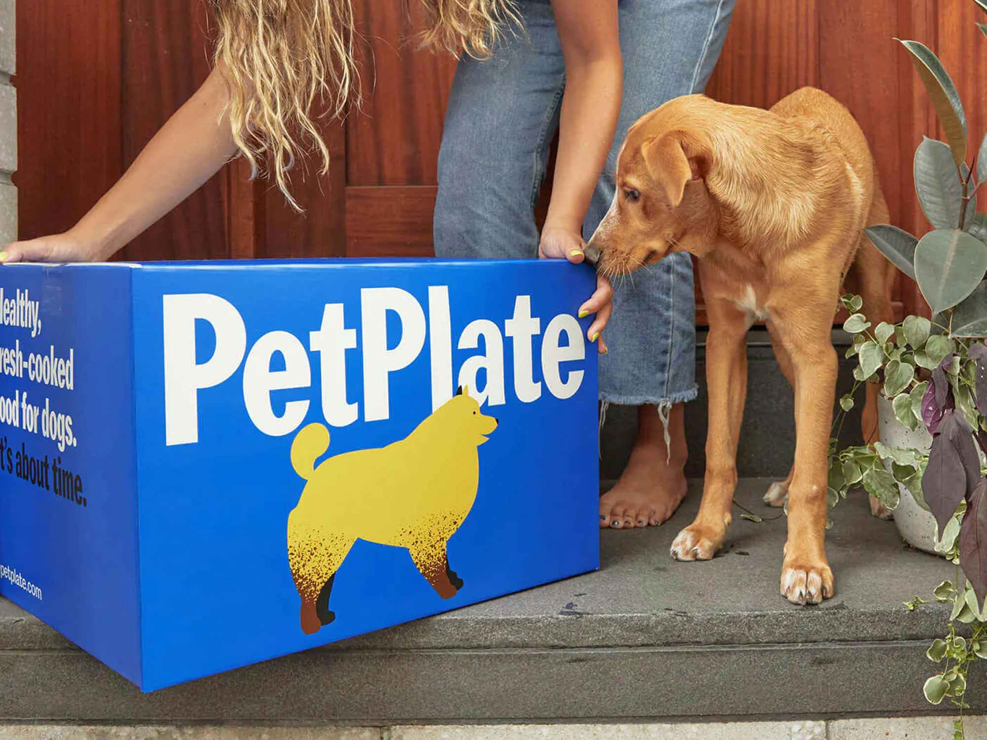 a person picking up a pet plate box from their front porch 