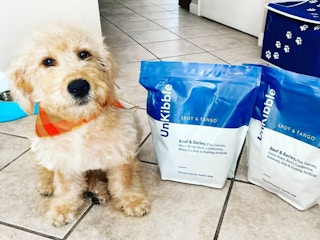 a dog sitting next to spot & tango dog food 