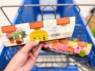 hand holding up a potting kit