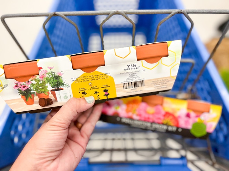 hand holding up a potting kit
