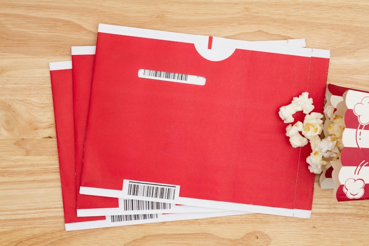 Netflix DVD envelopes 