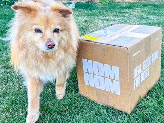 a dog sitting next to a nom nom dog food box 
