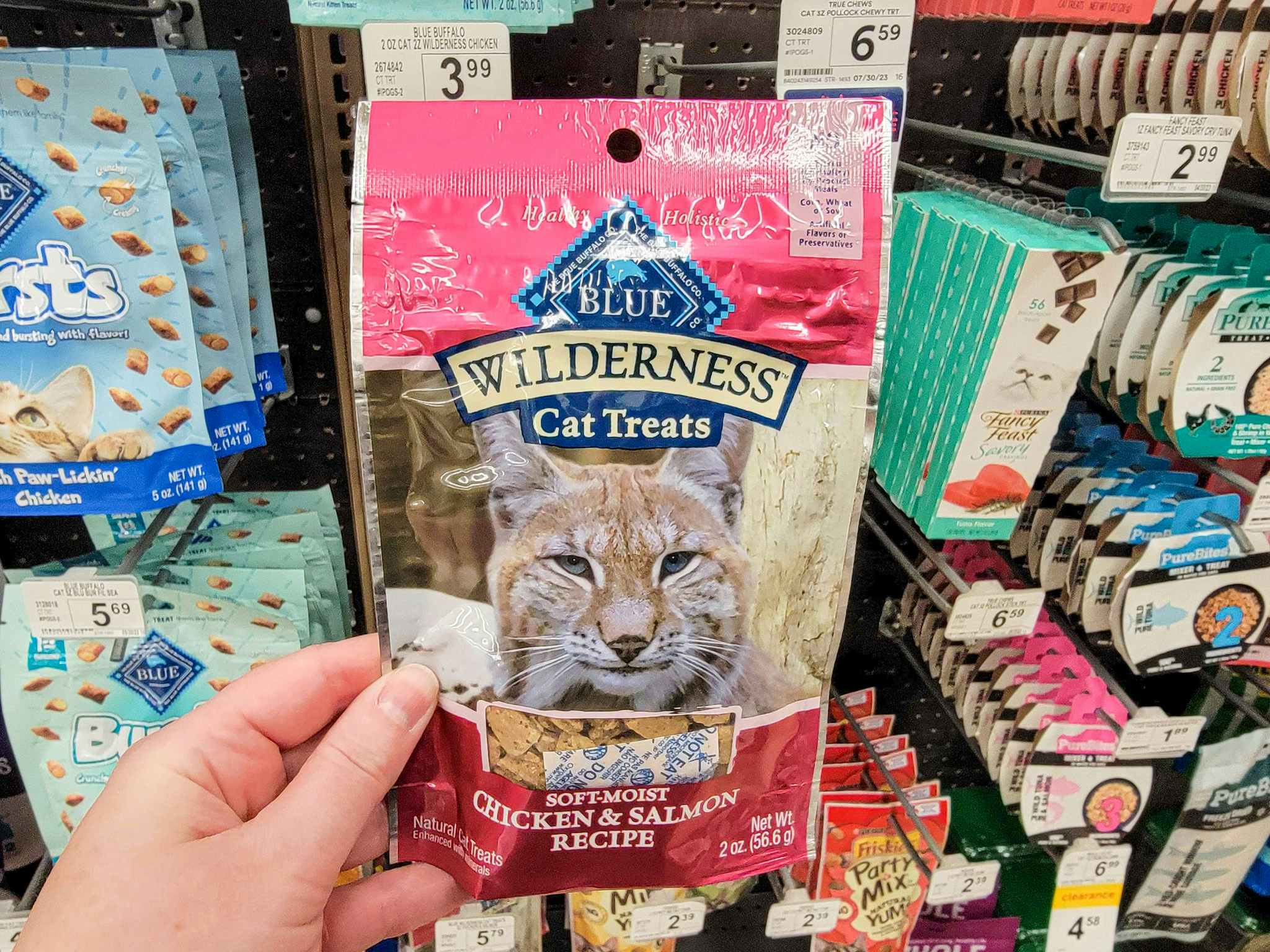 cat treats