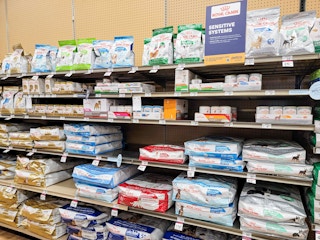 royal canin dog food