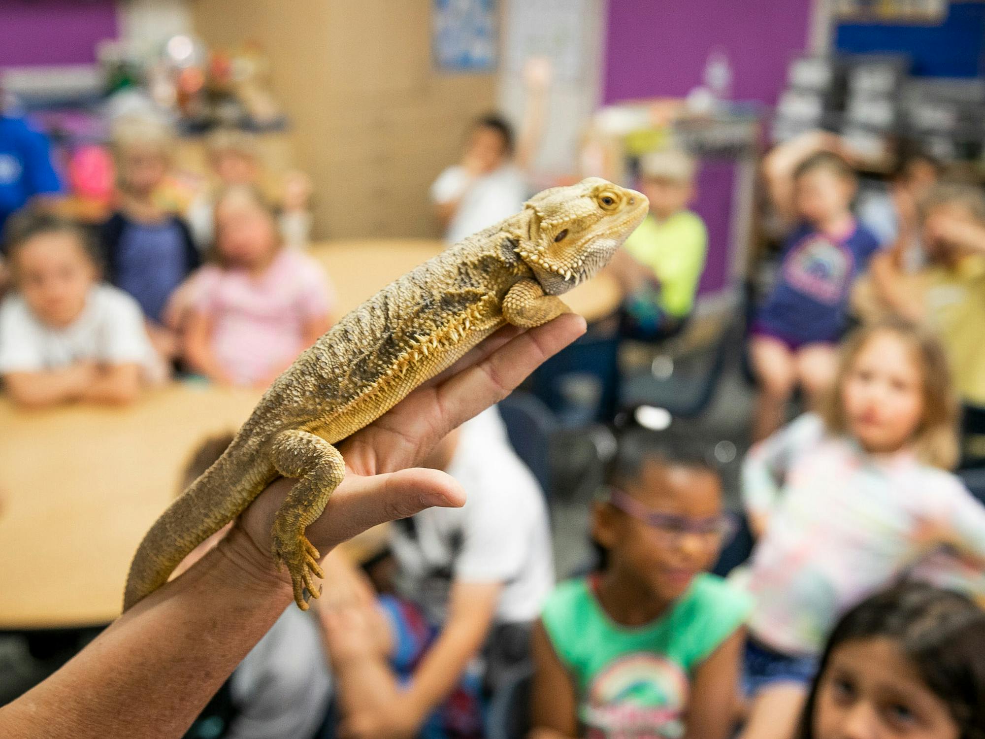 This Grant Helps Teachers Get Classroom Pets for the 2023 School