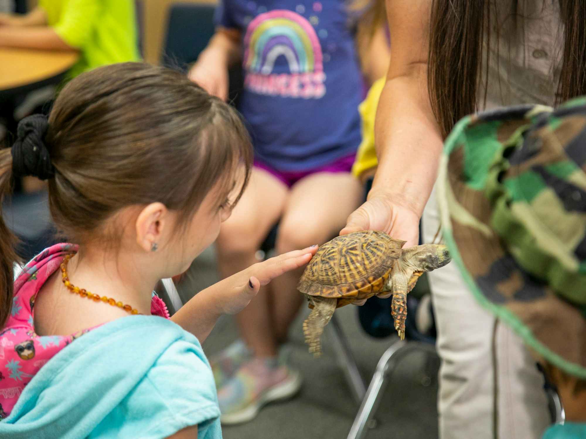 children in a classroom with a tortoise pet