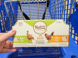 cat food