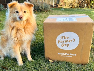 a dog sitting next to the farmers dog box
