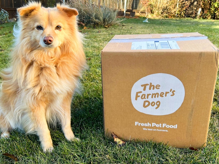 a dog sitting next to the farmers dog box