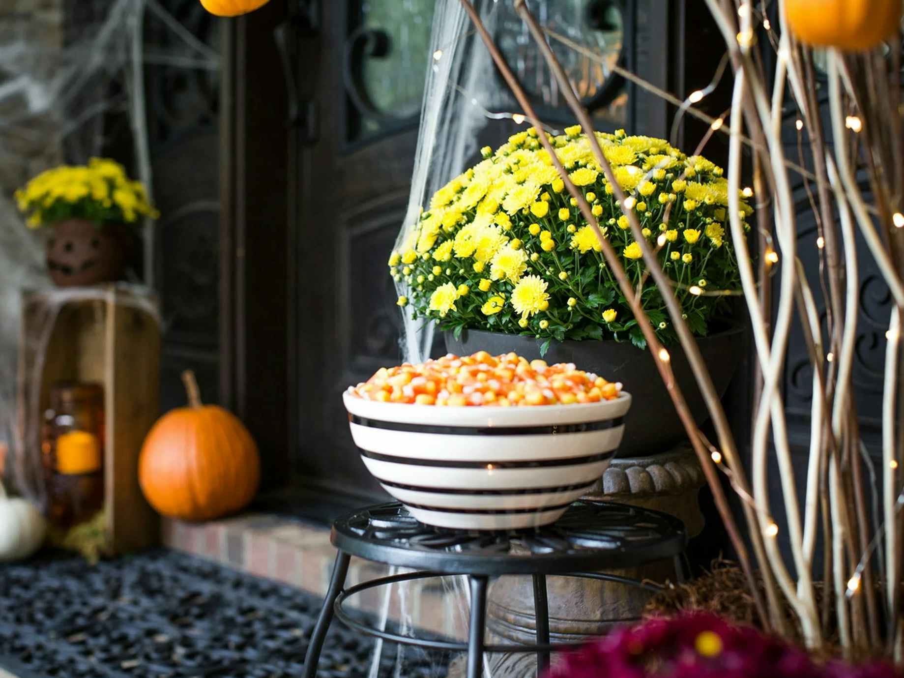 some Better Homes & Gardens candy corn mums from Walmart