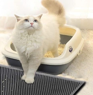 amazon honeycomb mat 2023 2 1694881130 1694881130