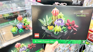 costco lego succulents 1695995518 1695995518