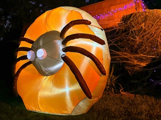 Inflatable donut from dunkin