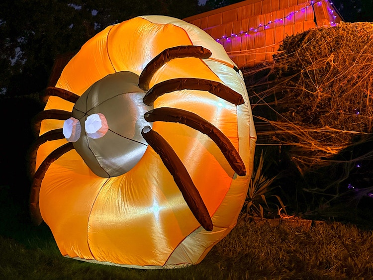 Inflatable donut from dunkin