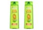 Garnier Fructis Shampoo, CVS App Coupon