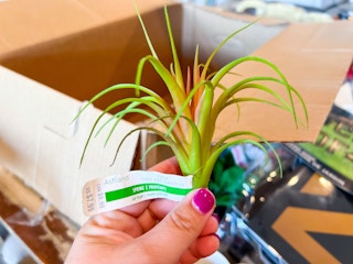 michaels grab bags sept 2023 1280 1694521347 1694521347 scaled