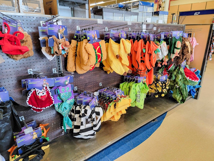 pet halloween costumes