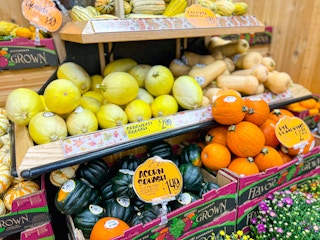 pumpkins and squash at Trader Joe's